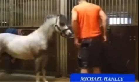 man and horse viral video twitter|horse video twitter meme.